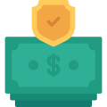 money shield icon