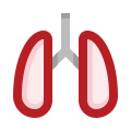 Lungs icon