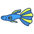 externo-Guppy-Fish-fishes-icongeek26-linear-colour-icongeek26 icon