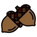 Acorn icon