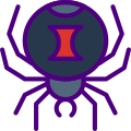 Spider icon