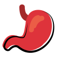 Stomach icon