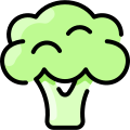 Broccoli icon