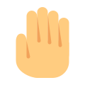 Stop Gesture icon