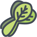 Bok choy icon