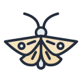 Moth icon