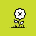 Blossom icon