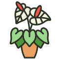 Anthurium icon