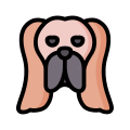 Basset Hound icon