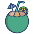 Noix de coco icon