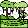 Rainforest icon