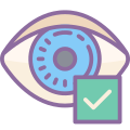 ojo revisado icon