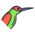 Humming Bird icon