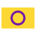 bandeira intersexo icon