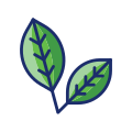 Leaves icon