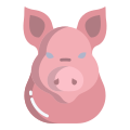 Schwein icon