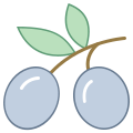 Оливка icon