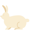 Rabbit icon