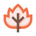 Feuille icon