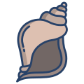 Conch Shell icon