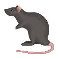 Крыса icon