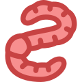 Earthworm icon