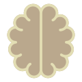 Brain icon