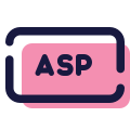 ASP icon