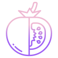 Tomato icon