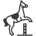 Dressage icon