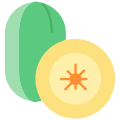 Kiwi icon