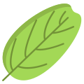Smoke Tree Leaf icon
