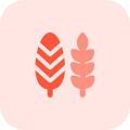 Decorative paddy leaf as a part of thanksgiving harvesting season icon