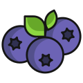 Blueberry icon