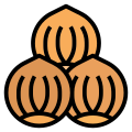 Chestnuts icon