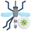 Dengue fever icon