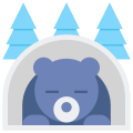 Hibernation icon
