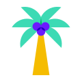 可可树 icon