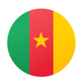 Камерун icon