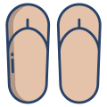 Flip Flops icon