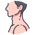 Anatomy icon