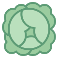 Cavolo icon