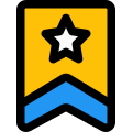 High rank police officer badge with star and stripe icon