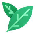Bay Leaf icon