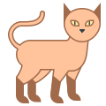 Gato icon