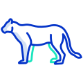 external-lioness-animal-body-icongeek26-outline-color-icongeek26 icon