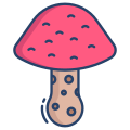 Wild Mushroom icon