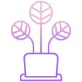 阳光下的植物 icon