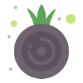 Onion icon