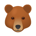 emoji de urso icon